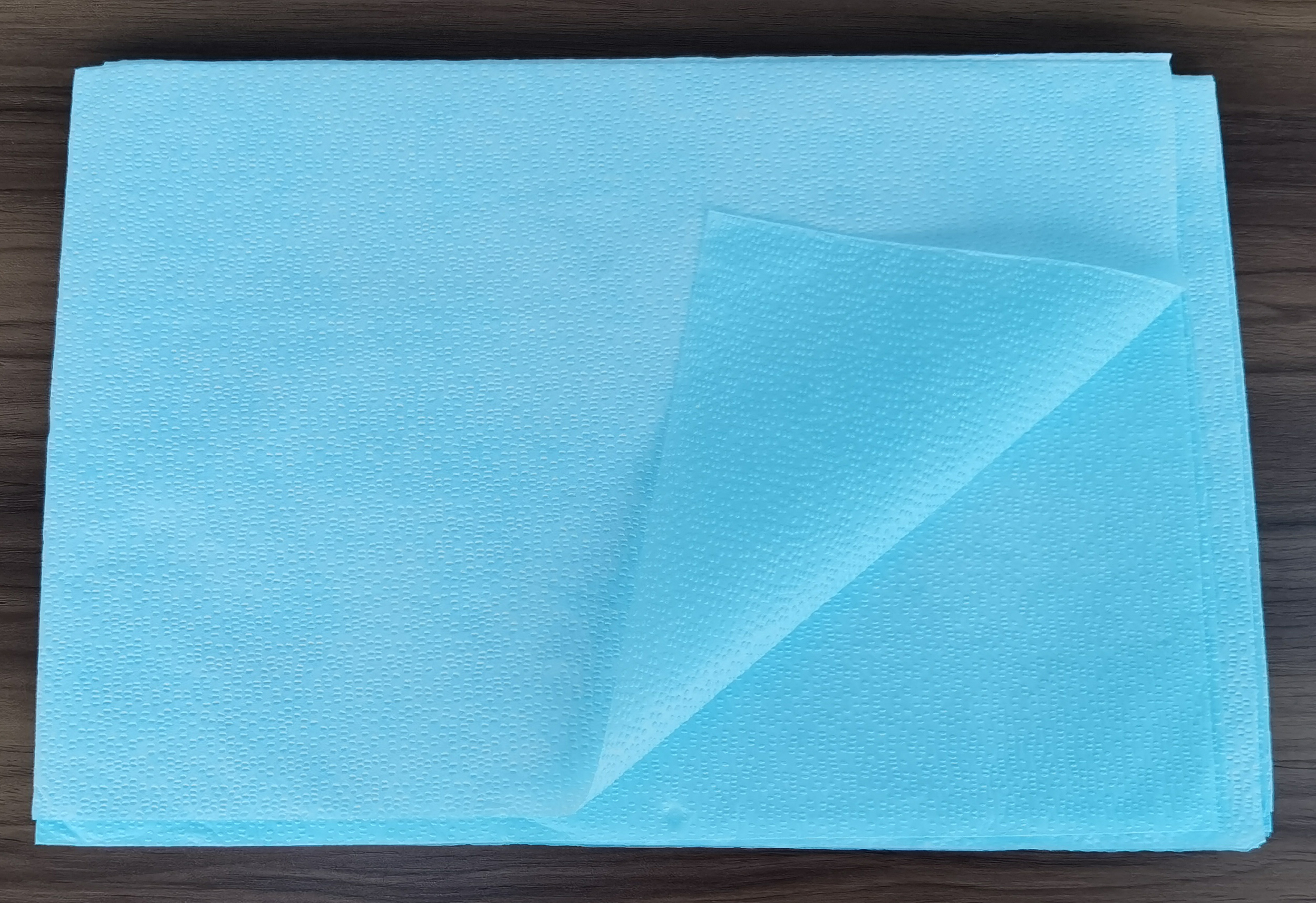 Hospital Medical Disposable Exam Drape Paper Sheet, for Hospital with Best Price