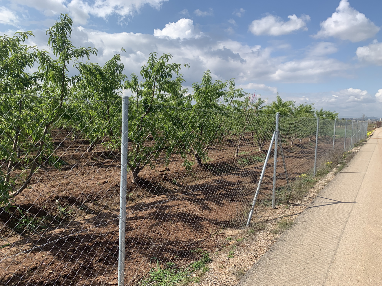 chain link fence 
