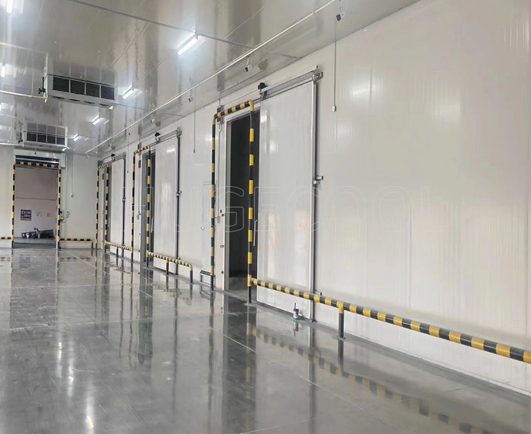 Walkin Cooler Cold Room Storage Cooling System for Fruit and Vegetable