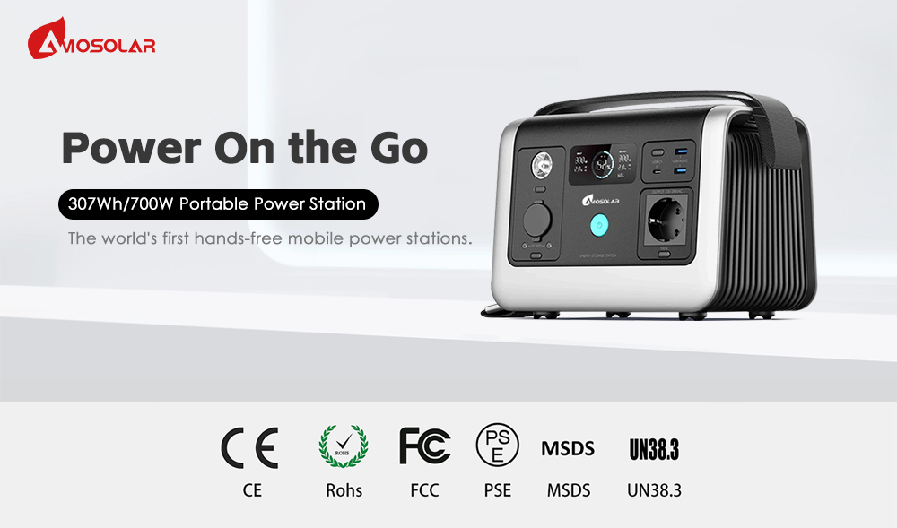 110v 220v 230v 700W 1000W 2000W Pure Wave Generator for and Portable Power Station
