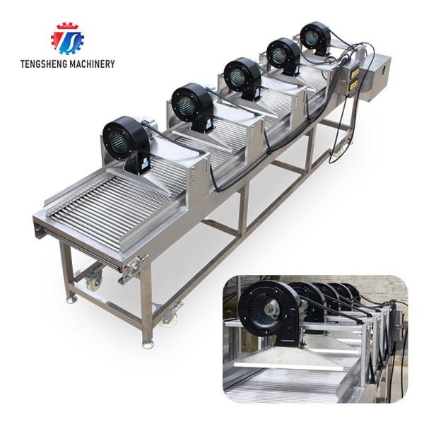 350KG 380V Vegetable air drying line fruit parallel air drying machine packaging