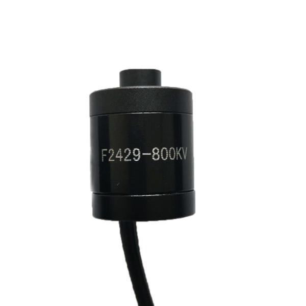 Faradyi Customized waterproof 12V Electric Brushed Dc Motor 5Nm 48V Bldc Motor