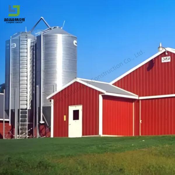China Low Cost Steel Structure Commercial Steel Egg Layer Chicken House Poultry