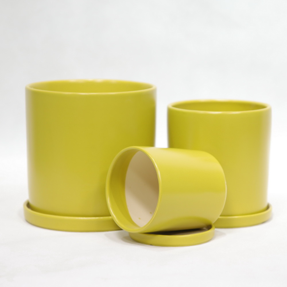 Discover The Best Selection Of Ceramic Pots For Your Plants Affordable Prices