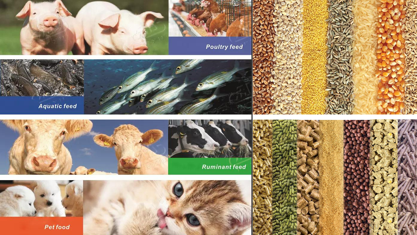 Cattle Chicken Sheep Pig Feed Manufacturing Machinery / Poultry Feed Production Line