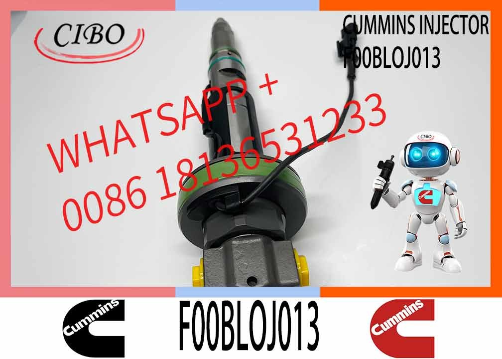 Common Rail Engine Accessories Diesel Injector 4964172 FOOBLOJ013 F00BLOJ013 FOR QSK38/50