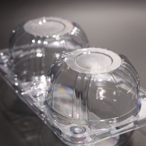 Eco Friendly Biodegradable PET Rectangular Food Container with 2 Compartments