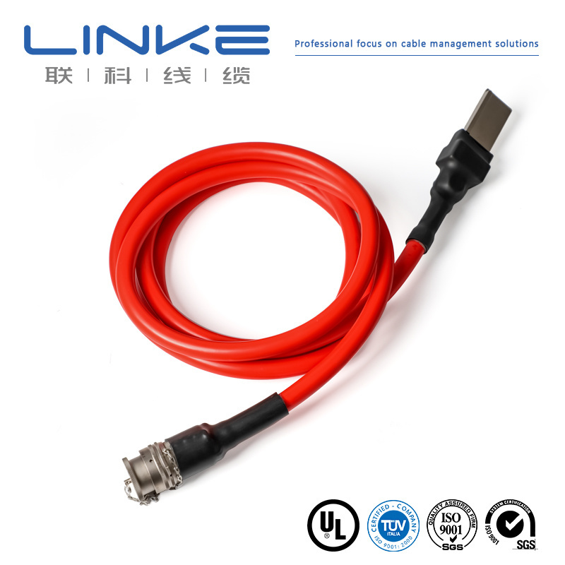 Green Energy Type 1 to Type 2 Hv Flame Retardant Soft Silicone Cable Harness