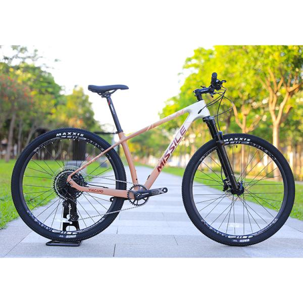 Hydraulic Disc Brake Alloy Mountain Bike with 29 Inch Big Wheels and 160mm Brake