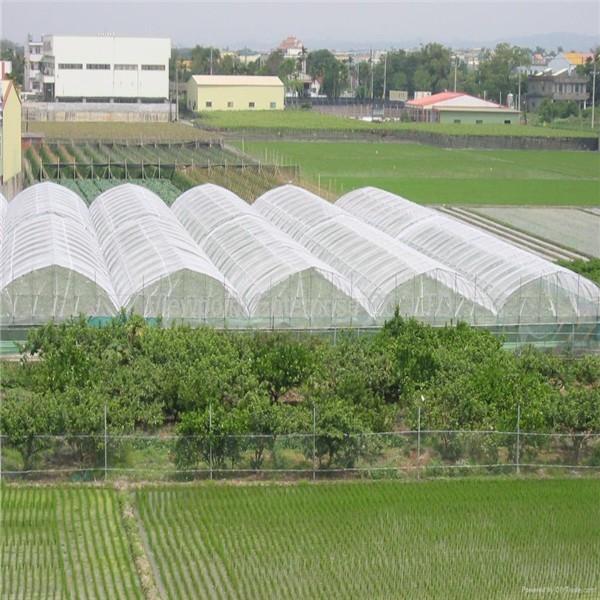 Heat Resistance 45gsm Insect Screen Mesh , Disease Prevention Insect Proof Net