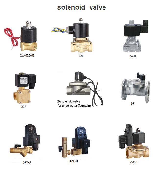 2W NC NO Stainless Steel 12v Diesel Fuel Water Solenoid Valve