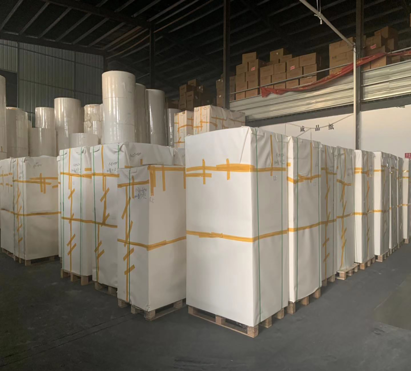 Single PE Laminated paper for Paper Cup,paper cup rolls raw material