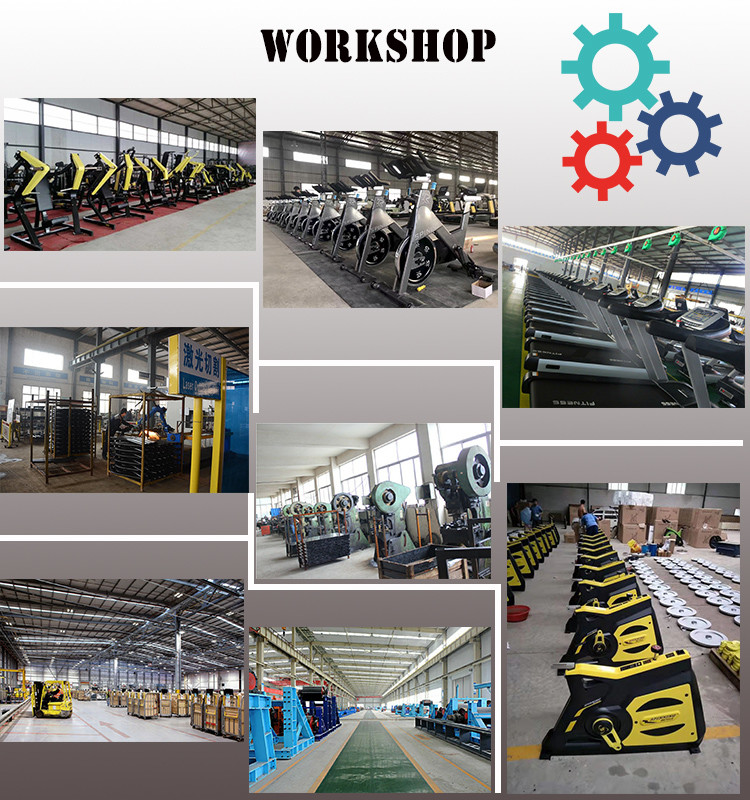 Customizable Plate Loaded Gym Machines , Incline Hammer Press Machine