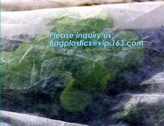 high quality PP nonwoven fabric agriculture Cover Non Woven Fabric agriculture