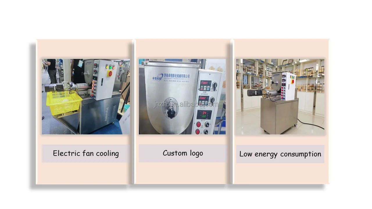 ZHUOHENG 's Energy-saving Industrial Macaroni Making Machine for Pasta Production