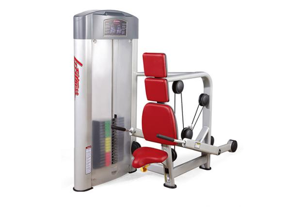 Sliver Frame Life Fitness Strength Equipment , Gym Bodybuilding Tricep Press