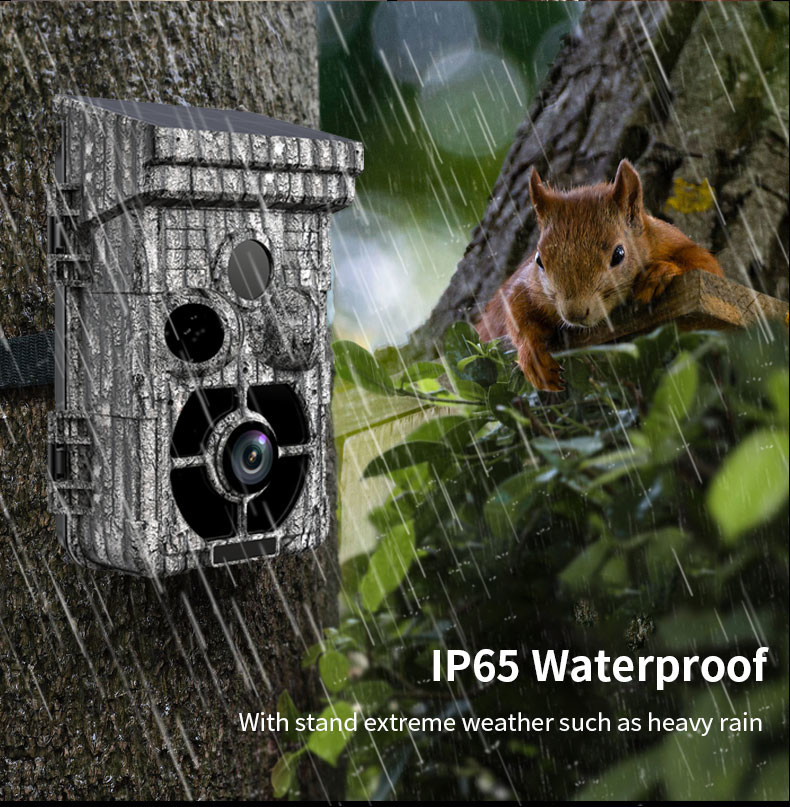 2.0" Color TFT LCD 42MP Hunting Game Camera Waterproof IP65 20 Meters Long Night Range