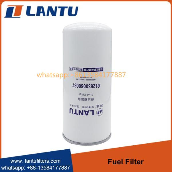 Lantu Diesel Fuel Filter 612630080087 1000053555 1000422382 1117050B81DM FC71090