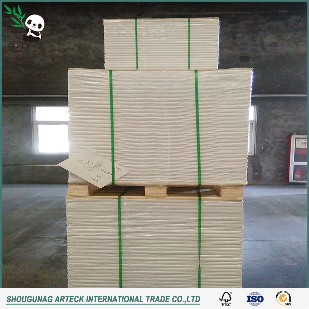 Top Selling A4 Paper 75 80 GSM Jumbo Roll with 45% Surface Gloss and 88% Printing Gloss