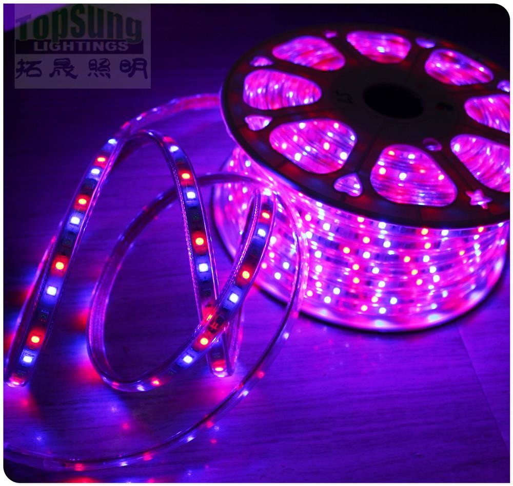 100m 230v AC led strip 5050 waterproof cuttable strips lights flexible blue color