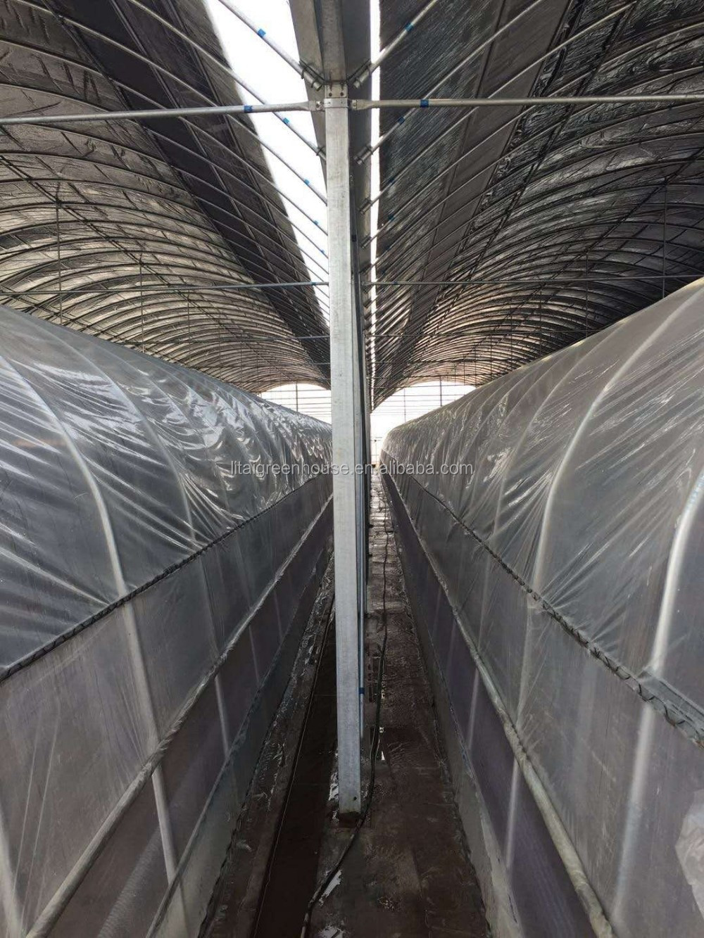 White Double Layer Greenhouse for Mushroom Farming Profitability