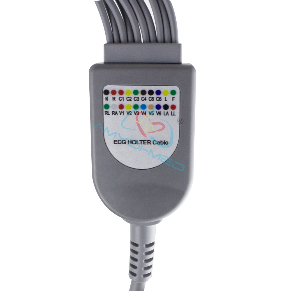 Patient ECG Holter Cable DMS 300-3A/4A/4L 19 Pins 10 Lead AHA Snap Holter Lead Wires