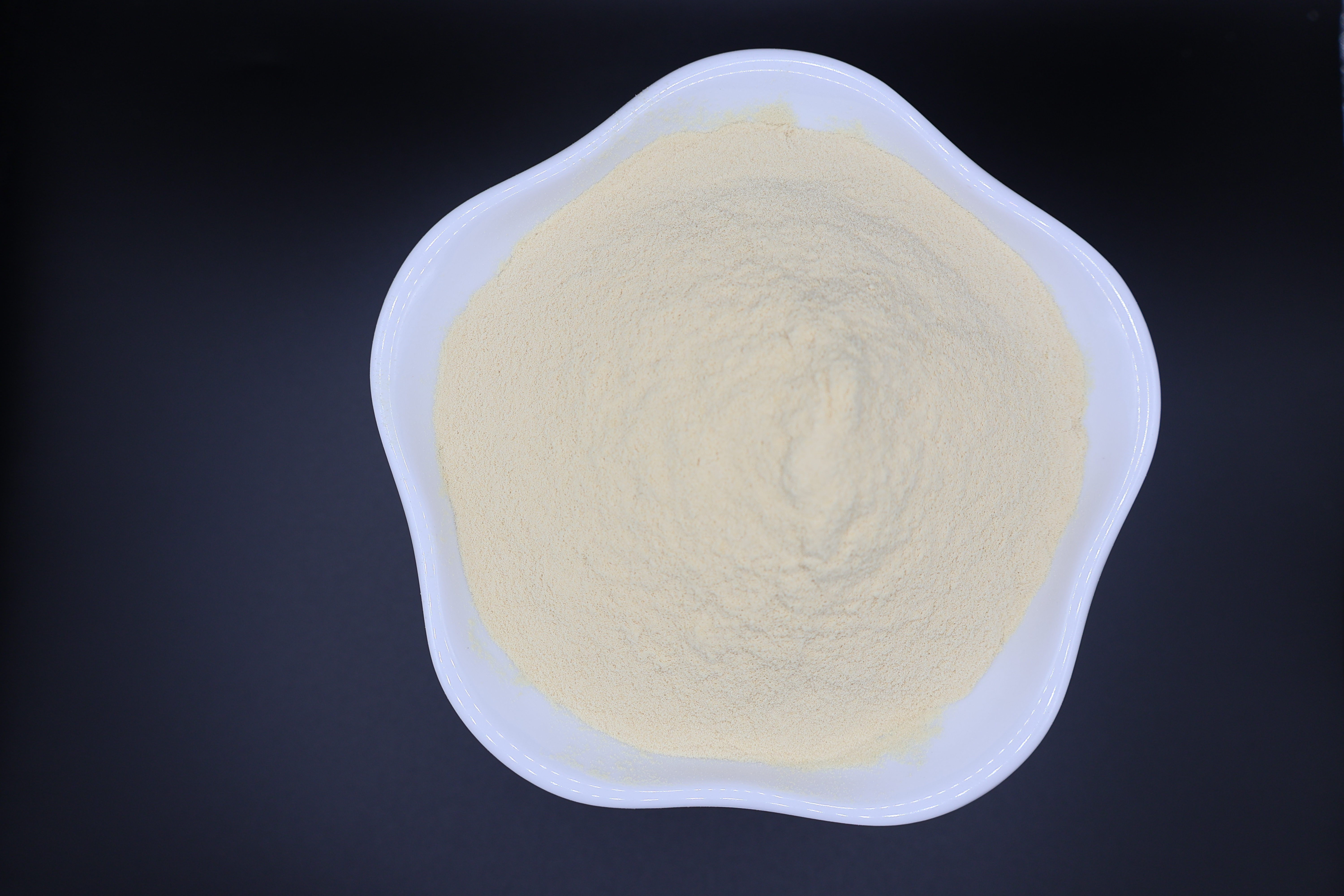 Industrial-Grade Bone Peptone – Advanced Nutrient Solution for Microbial & Fermentation Application