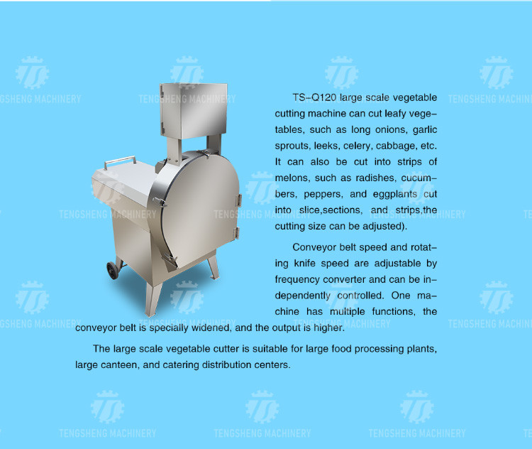140KG Multi-functional canteen vegetable cutter commercial slicer Slicer Slicer Cabbage, potato, radish, onion, bean