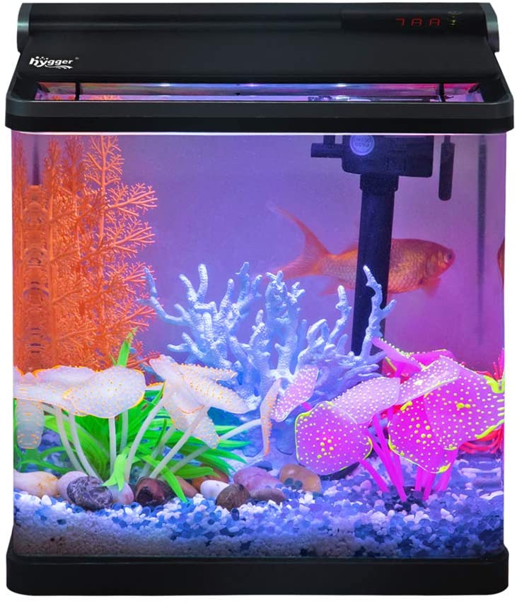 4 Gallon Smart Hygger Low Maintenance Fish Tank