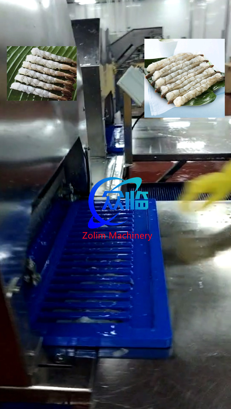 New Design Shrimp Stretching Line, Tempura Processing Line, NOBASHI Processing