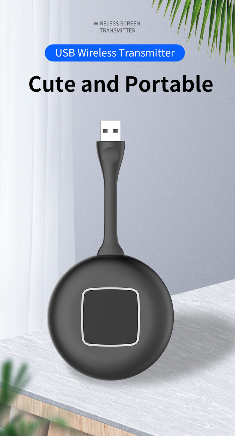 USB Transmitter Conference Room Wireless Presentation 90ms AES