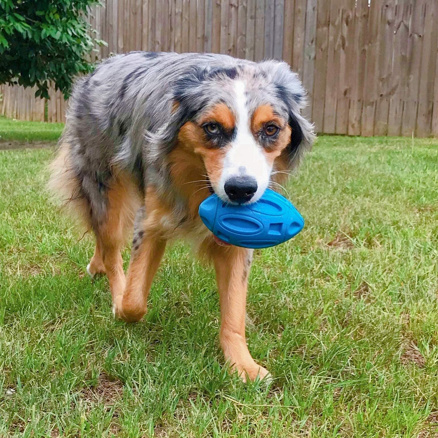 Dogs Squeaky Dog Foot Ball Toy Indestructible Dog Toy for Small Medium