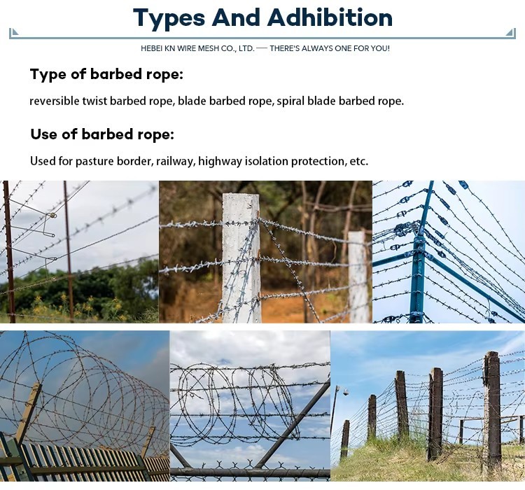 High Tensile Strength Security Barbed Wire Farm Grassland Enclosure
