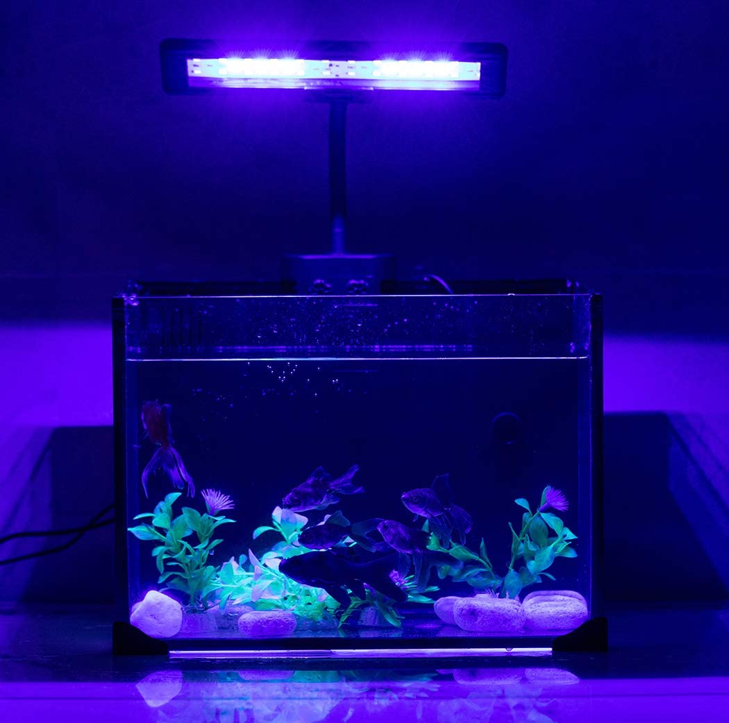 Blue White Clip On Saltwater Aquarium Light