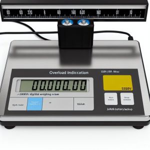 Digital Weighing Scale with Overload Indication and RS232 Interface