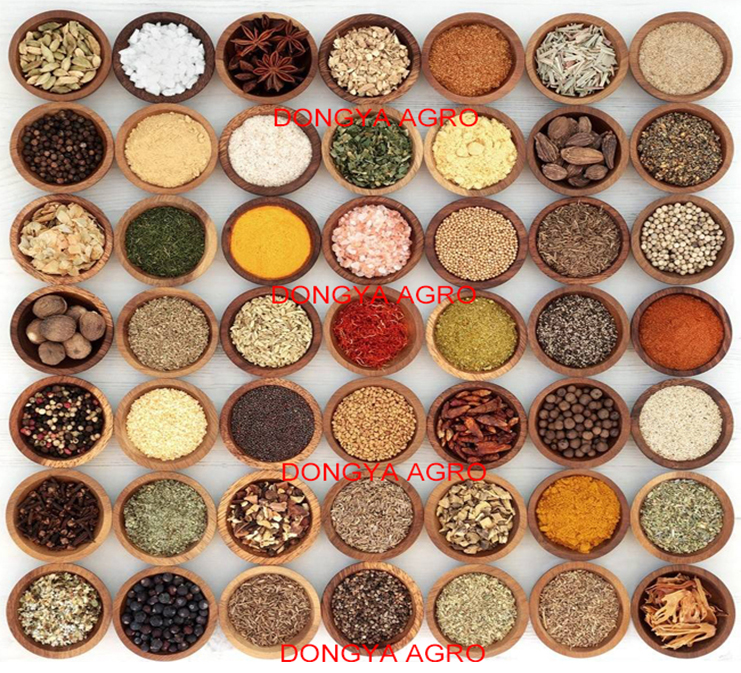 DONGYA 9FC-15 0211 Auto Dry Grain Grinder for Myrcia/nutmeg and More