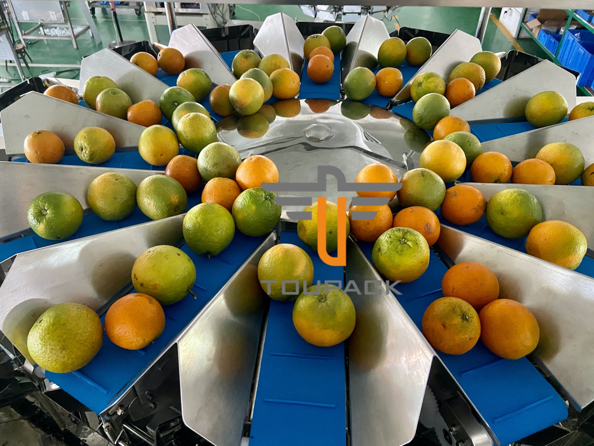Oranges Food Grade 5.0L 14 Head Multihead Weigher