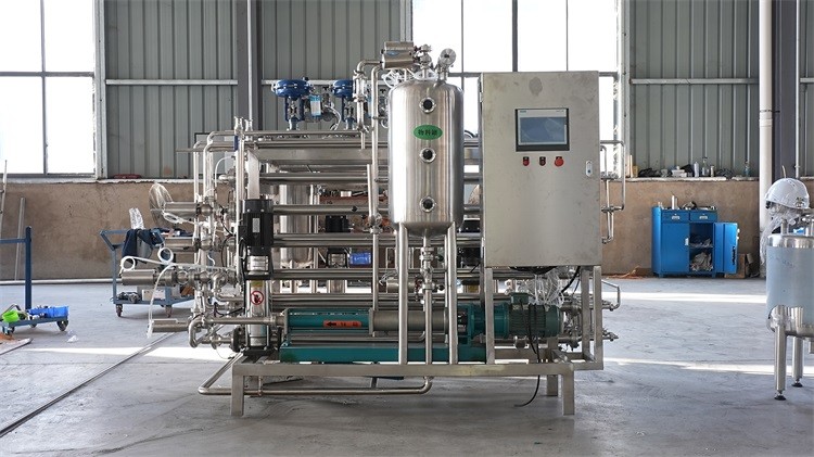 Customizable Mango Puree Plant with Stainless Steel Construction