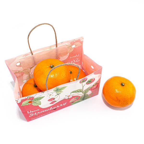 Paper Twist Rope Handle Fruit Brown Paper Bag Eco Friendly Water Based Soy Ink