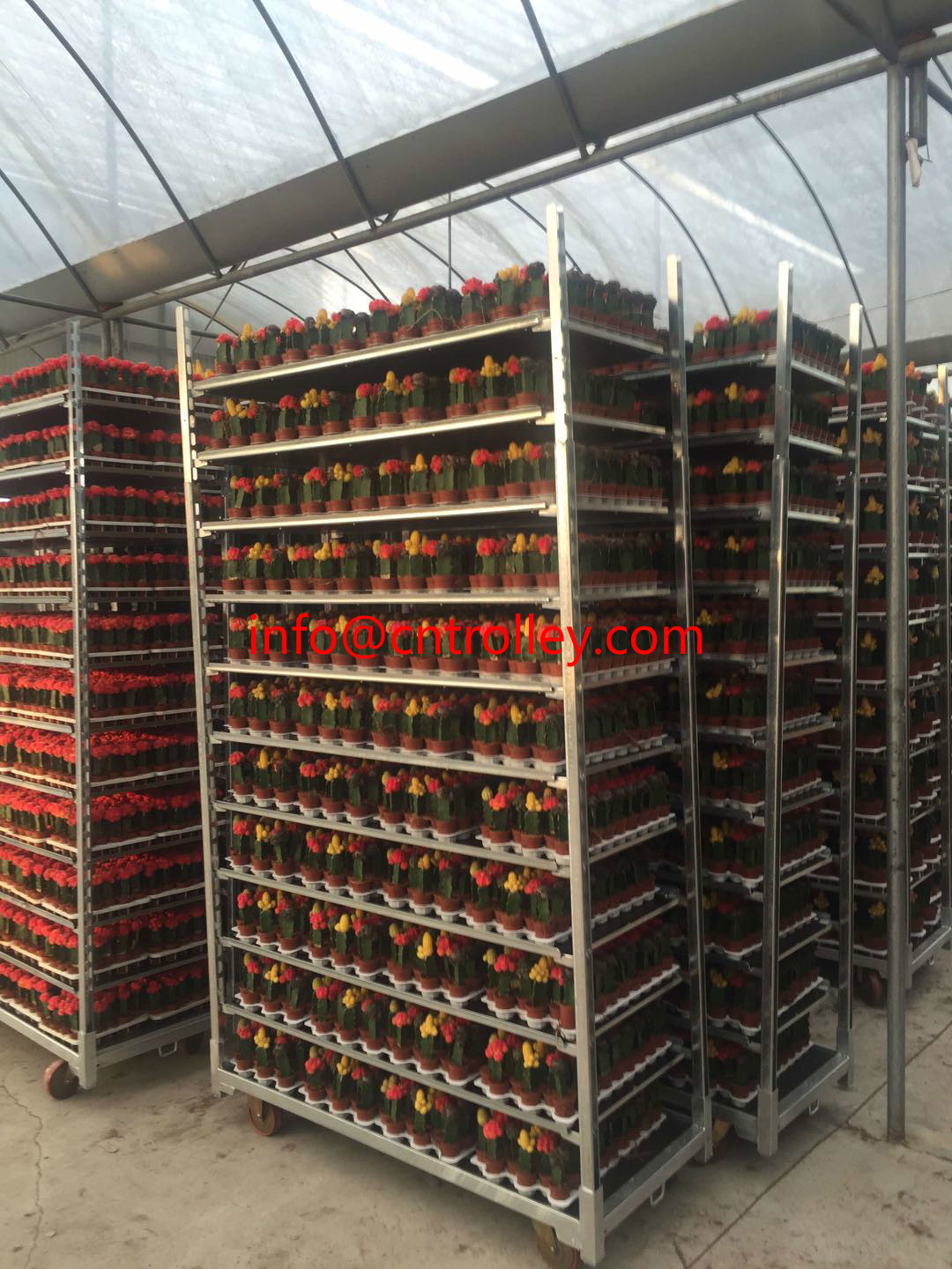 PU Wheel Q235 Display 1900mm Plywood Shelf CC Container