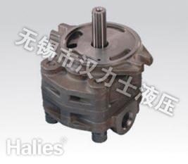  Hydraulic Gear Pump SVD22 Manufactures