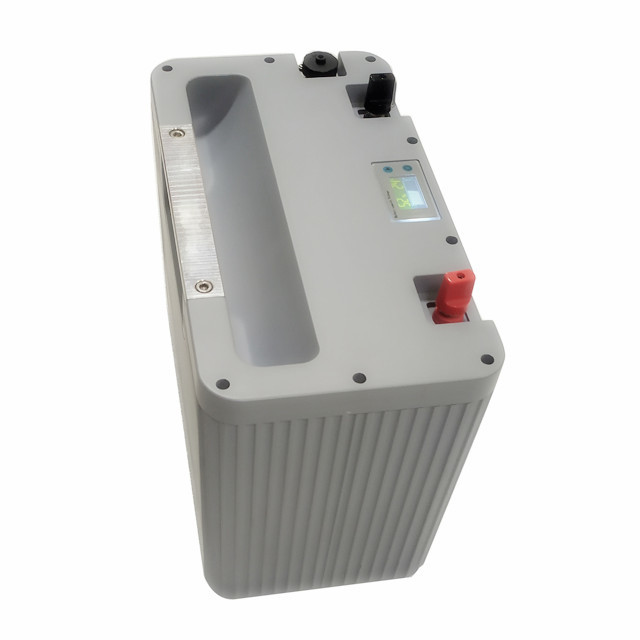 2000 Times Portable MSDS Lifepo4 12V 100AH Battery For Camping Car