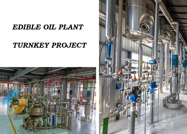 Oil Dewaxing Edible Oil Refining Equipment 30-1500TPD Energy Saving