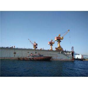 50t~100t Floating Dock Portal Crane With CCS Certificate Customized Design