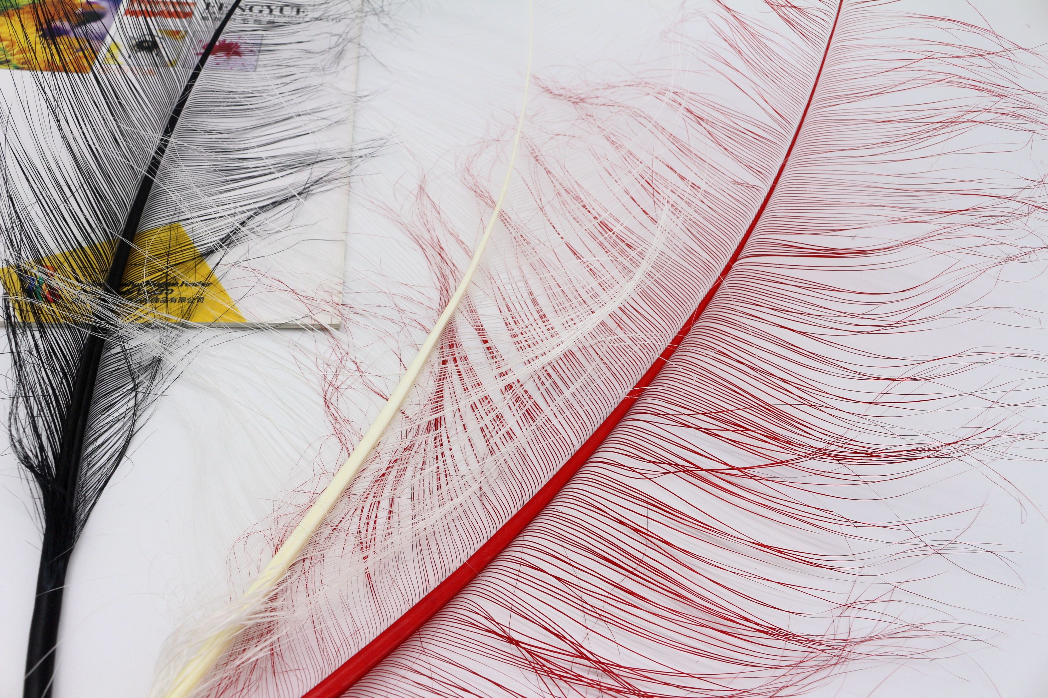Handmade Multi Colored Millinery Feather Burnt Ostrich Plumes Feather 50-55cm