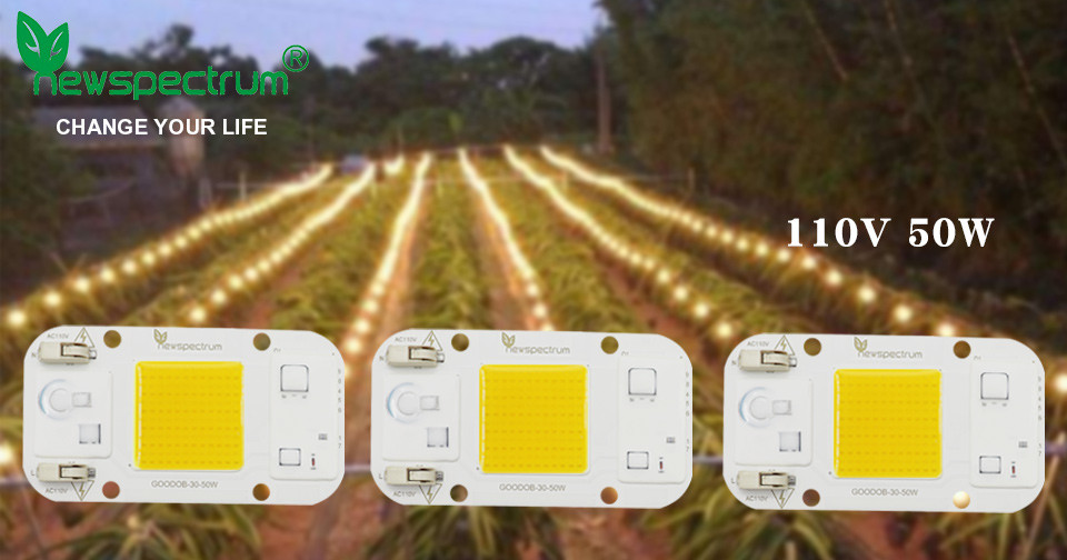 No Flicker Cob Led 50w Chip Warm White No Welding For Greenhouse Lights