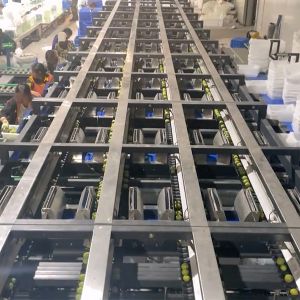 360° Rotational Scanning Plum Application 8 Lanes Industrial Automation System