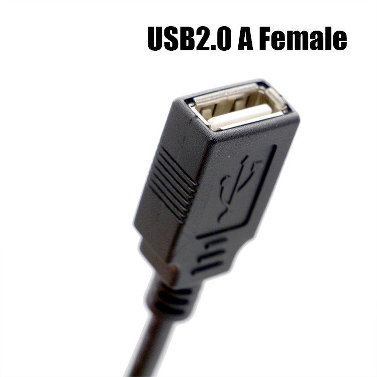 Assembly USB A Female to JST 2 3 4 Pin PH XH 1.0mm 1.25mm 1.5mm 2.0m Pitch Wire Cable