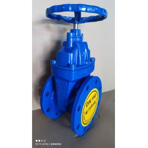 Customized Ductile Iron Flanged Soft Seal Pn16 Gate Valve with Manual Operated Function
