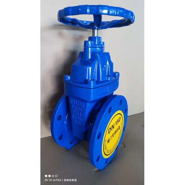 Quality Customized Ductile Iron Flanged Soft Seal Pn16 Gate Valve with Manual Operated Function for sale
